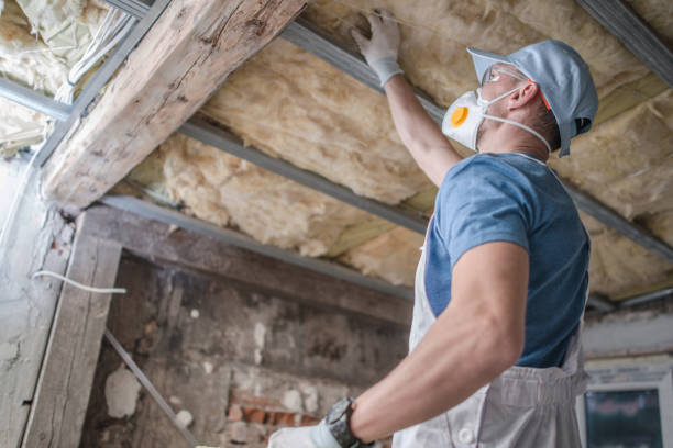 Best Types of Insulation in Oak Grove Heights, AR